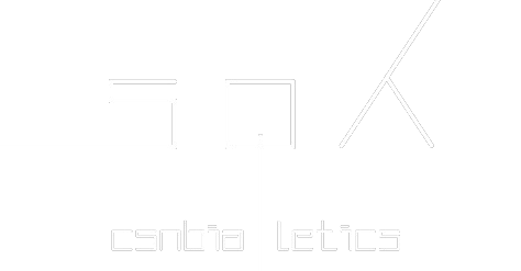 light logo